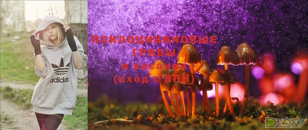 MDMA Premium VHQ Алзамай
